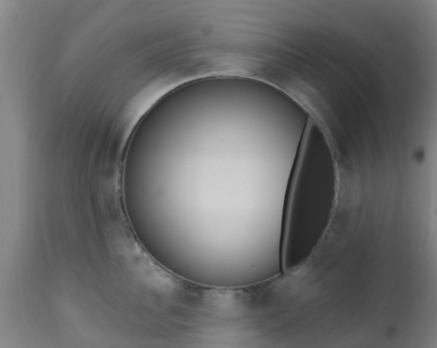 X0000112500956200908241346