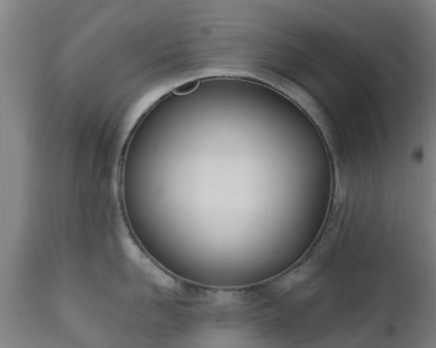 X0000112500958200908241346