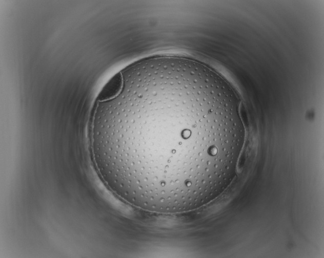 X0000112500959200908241346