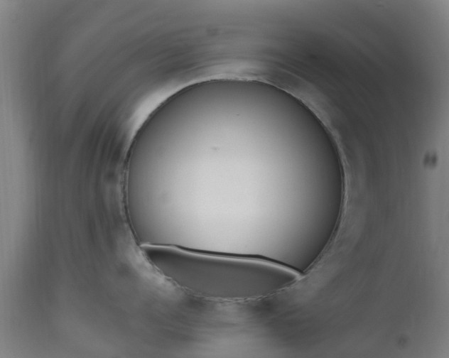 X0000112500960200908241346