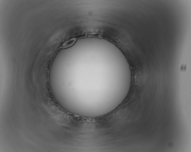 X0000112500961200908241346