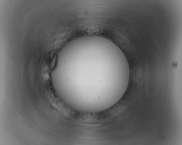 X0000112500962200908241346