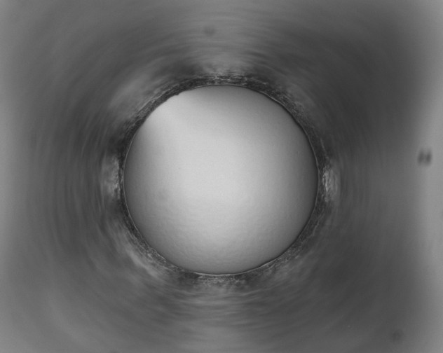 X0000112500963200908241346