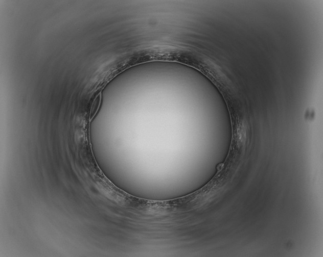 X0000112500964200908241346