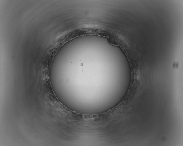 X0000112500965200908241346