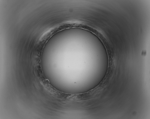 X0000112500967200908241346