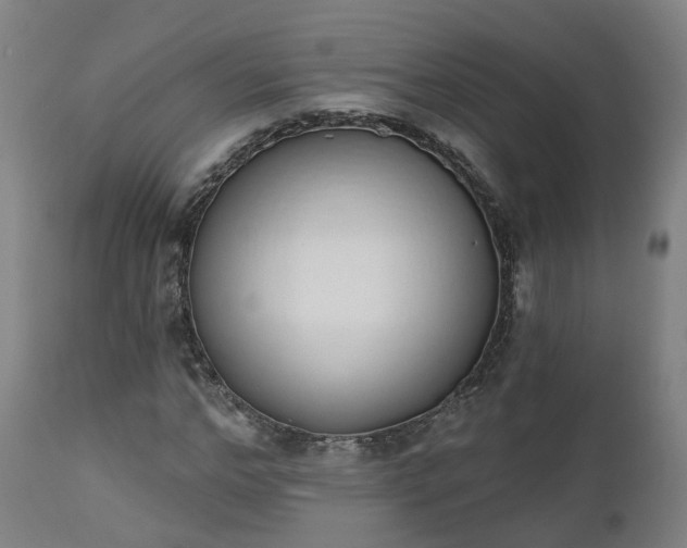 X0000112500968200908241345