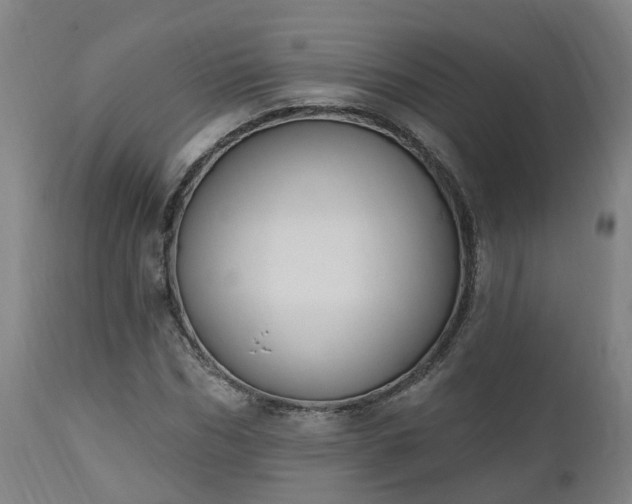 X0000112500970200908241345