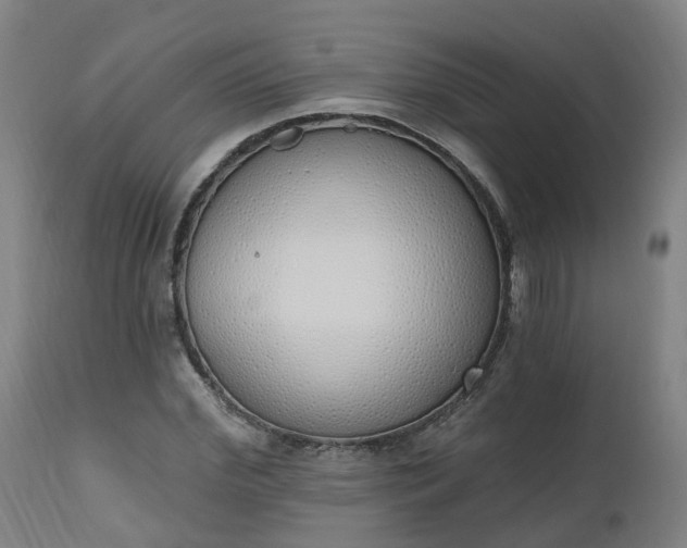 X0000112500972200908241345