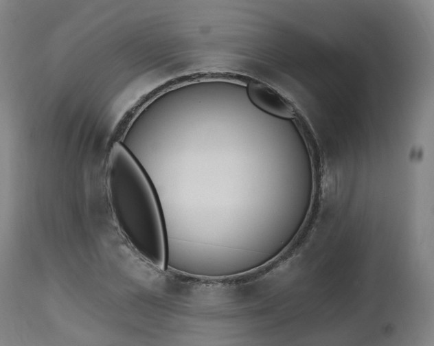 X0000112500973200908241345