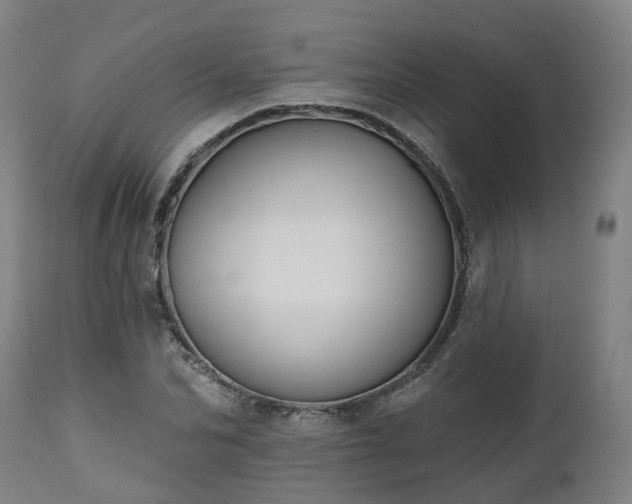 X0000112500974200908241345