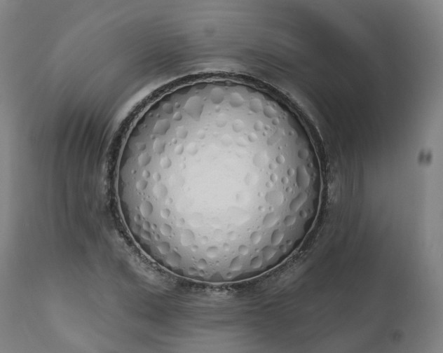 X0000112500975200908241345