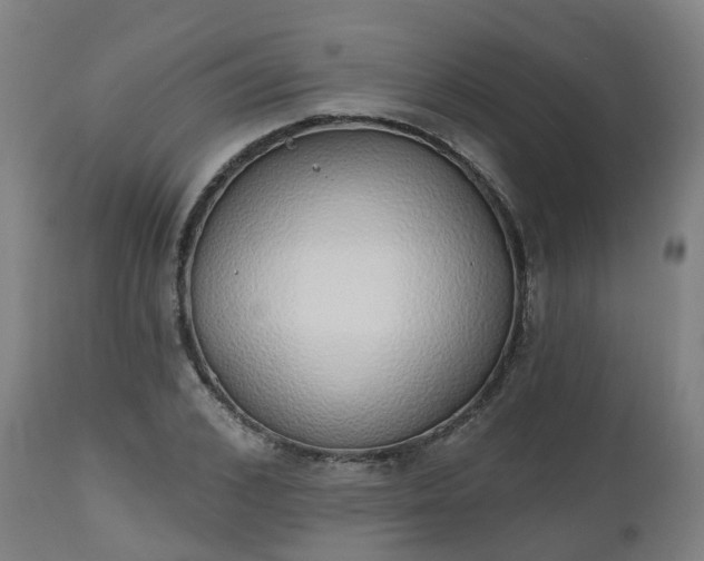 X0000112500976200908241345