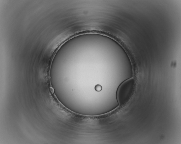 X0000112500977200908241345