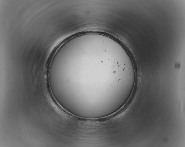 X0000112500981200908241345