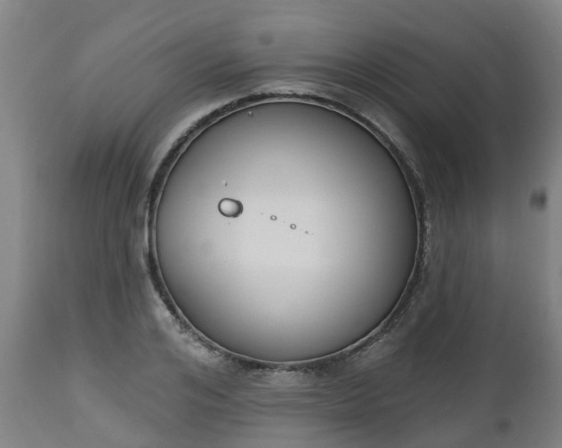 X0000112500984200908241345