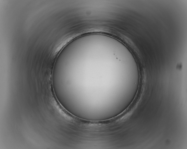 X0000112500985200908241345