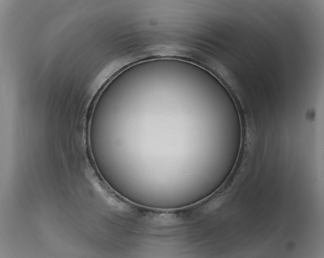 X0000112500986200908241345