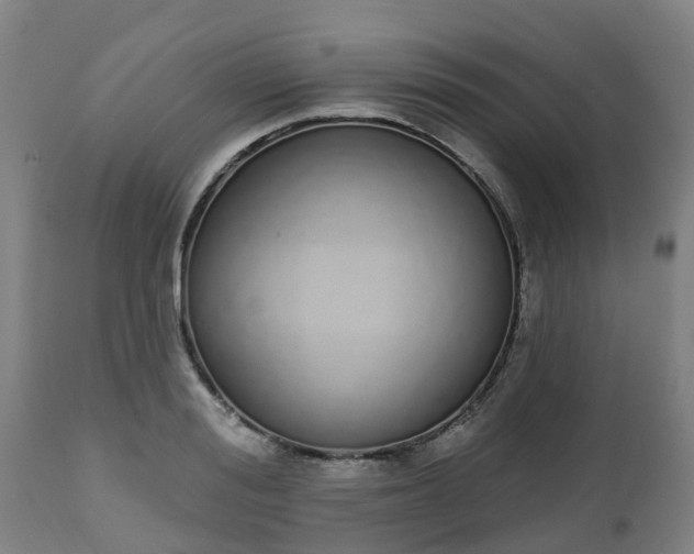 X0000112500988200908241345