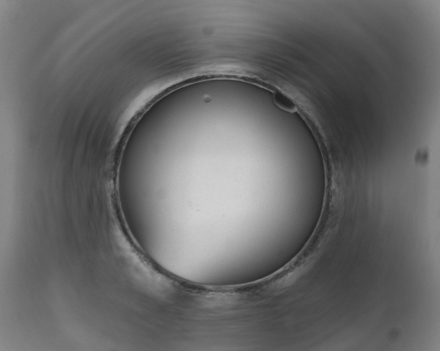 X0000112500989200908241345