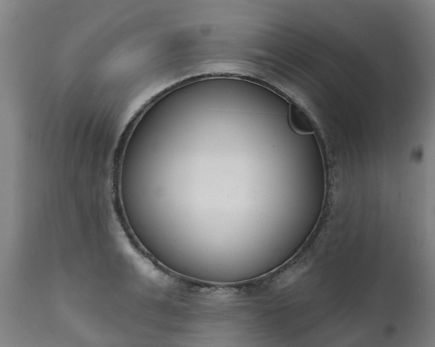 X0000112500991200908241345