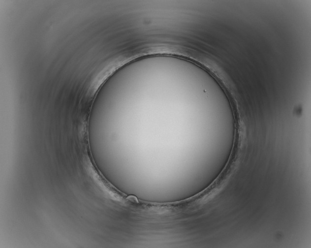 X0000112500993200908241345