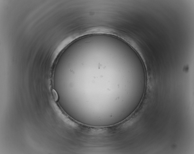 X0000112500997200908241345