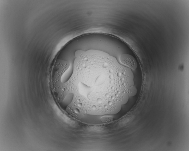 X0000112500998200908241345