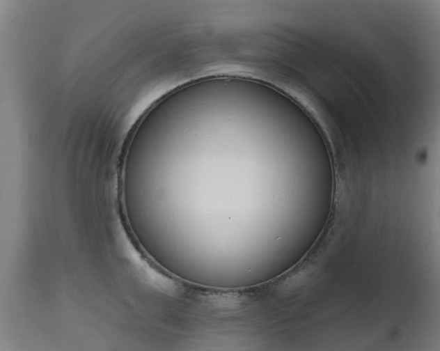 X0000112500999200908241345