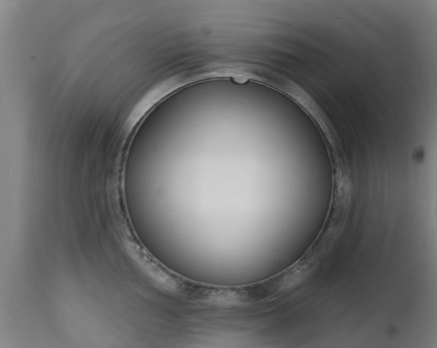 X0000112501002200908241345