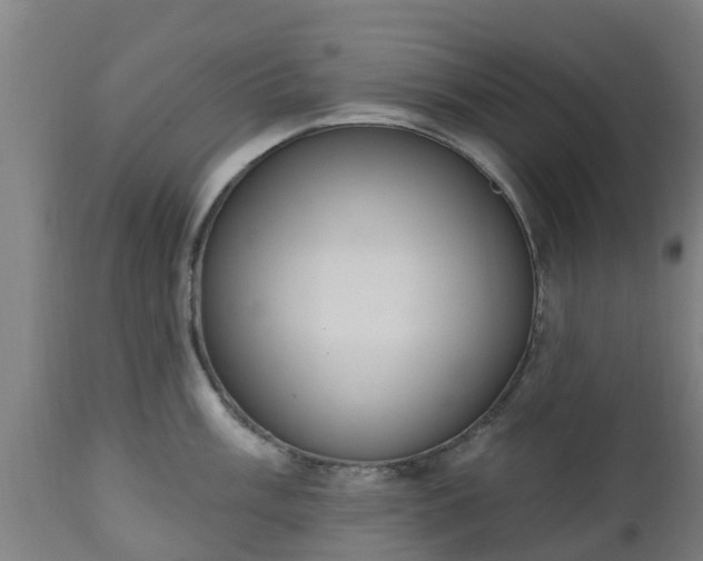 X0000112501003200908241345