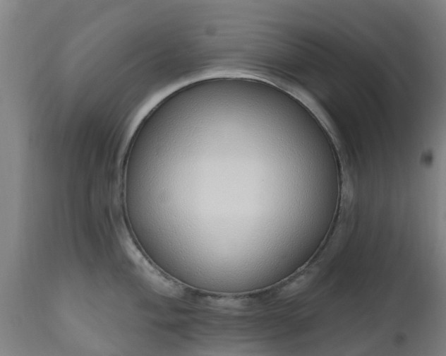 X0000112501004200908241345