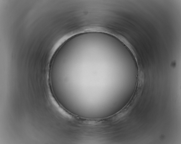 X0000112501005200908241345