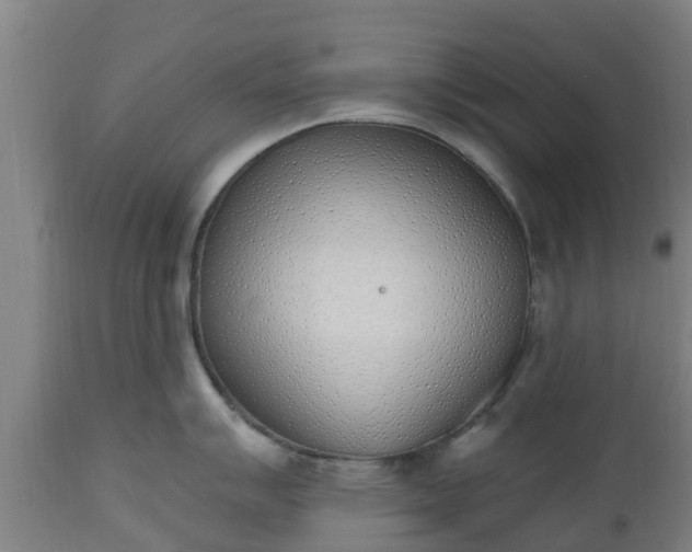 X0000112501007200908241345