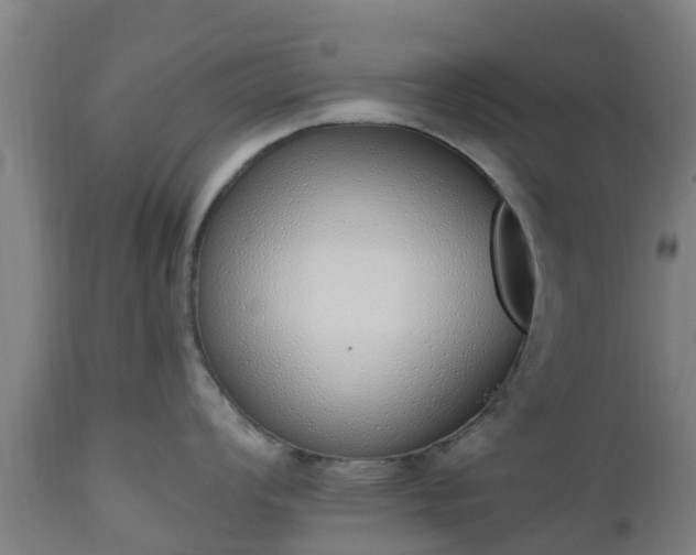 X0000112501008200908241345