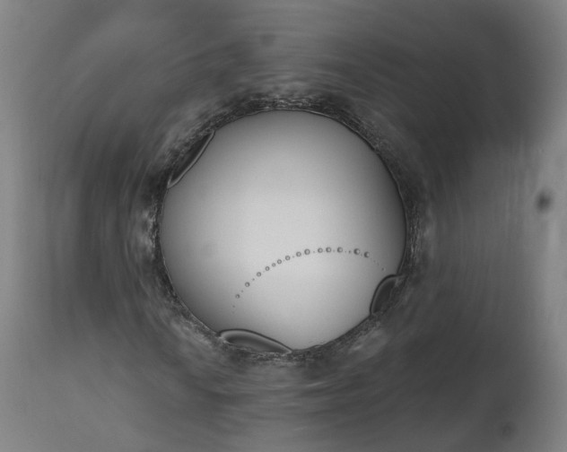 X0000112501010200908241344