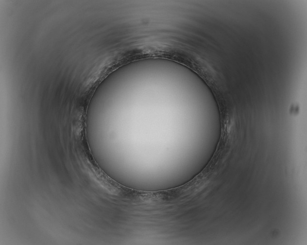 X0000112501012200908241344