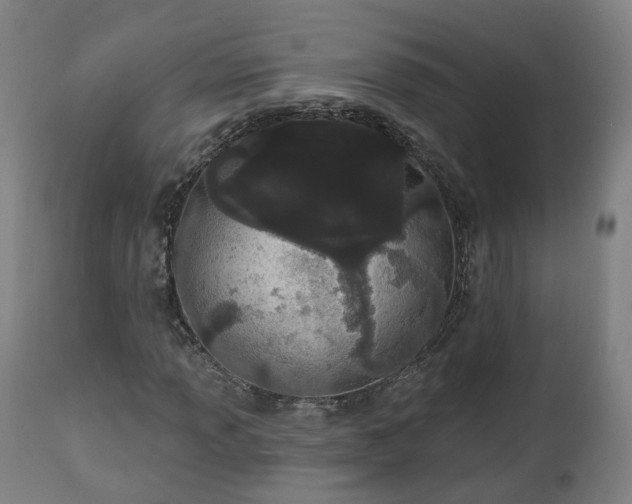 X0000112501013200908241344