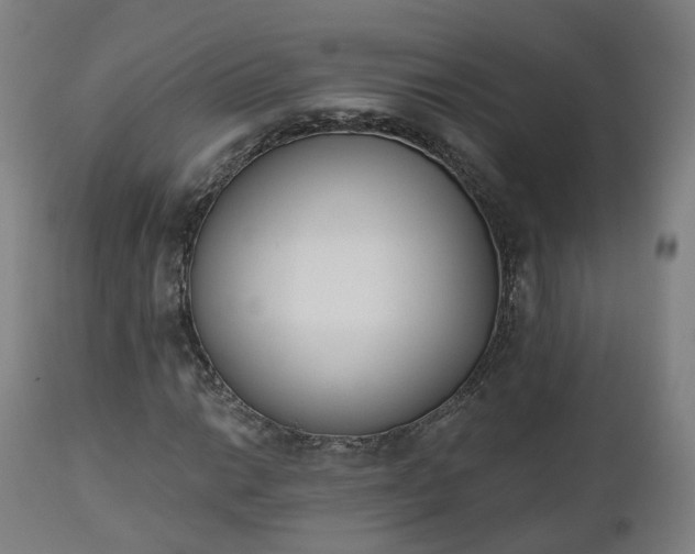 X0000112501014200908241344