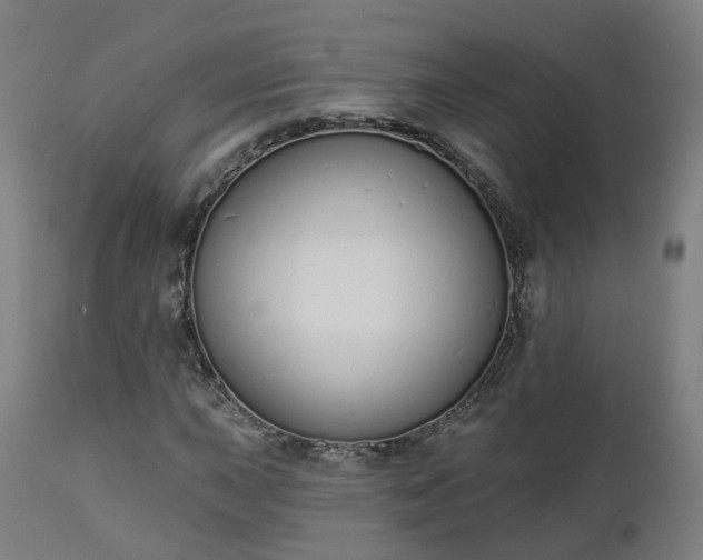 X0000112501015200908241344