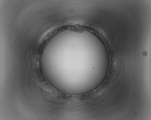 X0000112501016200908241344