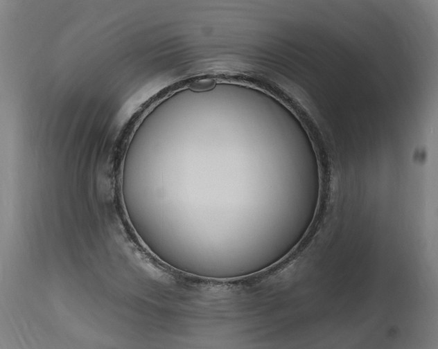 X0000112501018200908241344