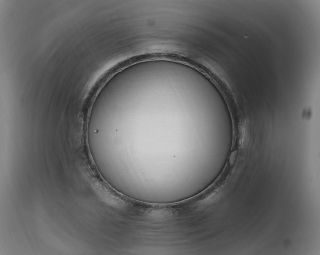 X0000112501021200908241344