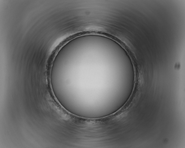 X0000112501022200908241344