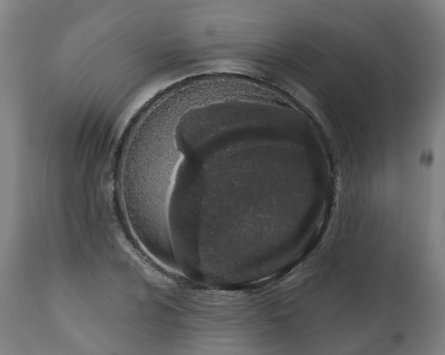 X0000112501024200908241344