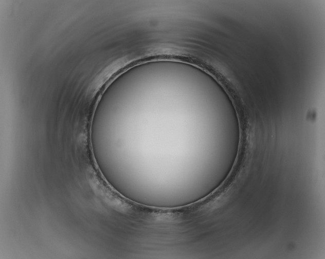 X0000112501025200908241345