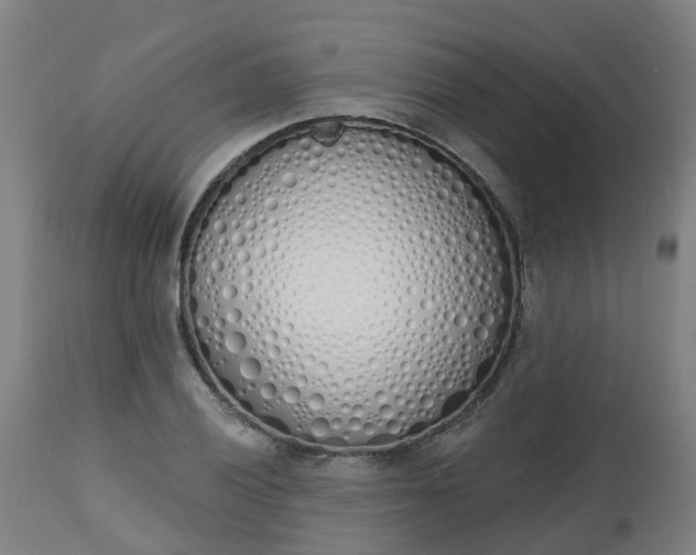 X0000112501028200908241345