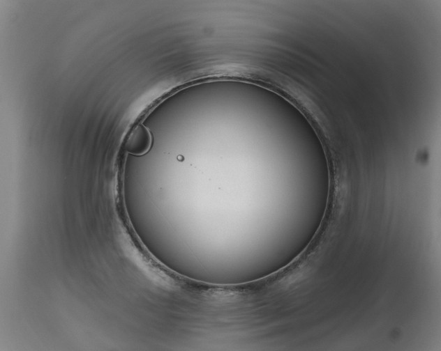 X0000112501034200908241345