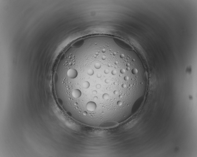 X0000112501035200908241345