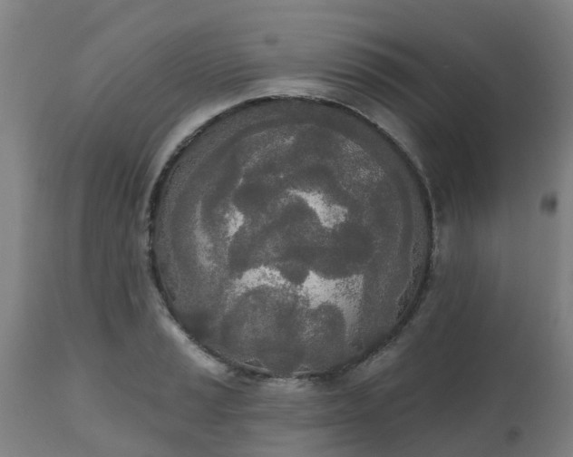 X0000112501037200908241345